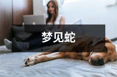 <h3>梦见蛇
