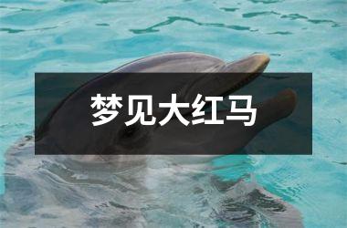 <h3>梦见大红马