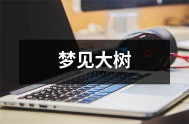 <h3>梦见大树