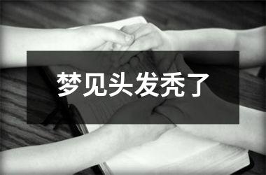 <h3>梦见头发秃了