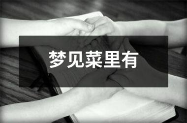 <h3>梦见菜里有