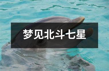 <h3>梦见北斗七星