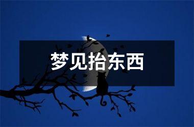 <h3>梦见抬东西