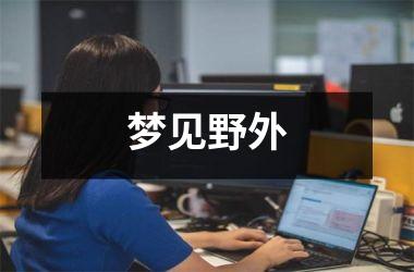 <h3>梦见野外
