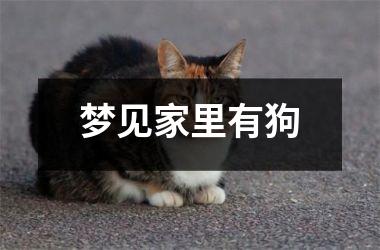 <h3>梦见家里有狗