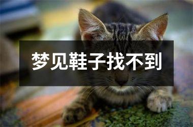 <h3>梦见鞋子找不到