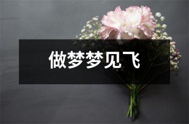 <h3>做梦梦见飞