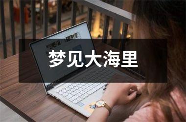 <h3>梦见大海里