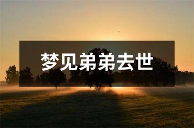 <h3>梦见弟弟去世