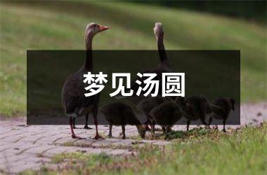 <h3>梦见汤圆