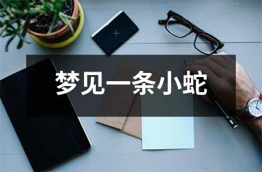 <h3>梦见一条小蛇