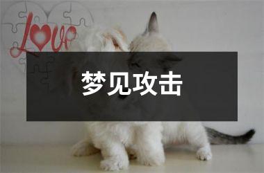 <h3>梦见攻击