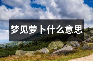 <h3>梦见萝卜什么意思