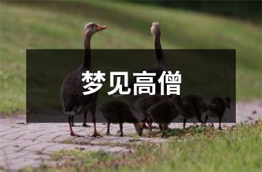 <h3>梦见高僧