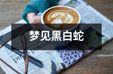 <h3>梦见黑白蛇