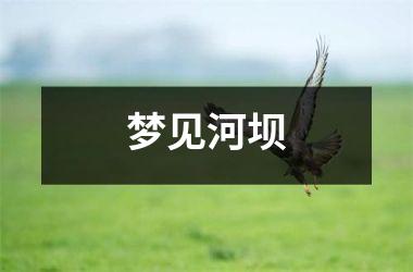 <h3>梦见河坝
