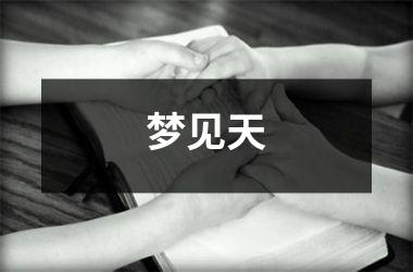 <h3>梦见天