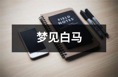 <h3>梦见白马