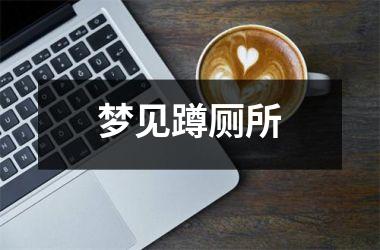 <h3>梦见蹲厕所