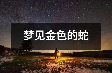 <h3>梦见金色的蛇