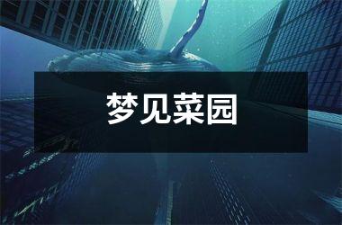 <h3>梦见菜园