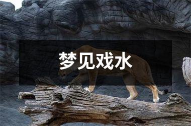 <h3>梦见戏水