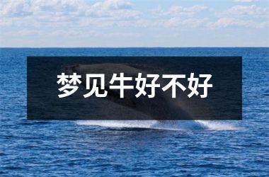 <h3>梦见牛好不好