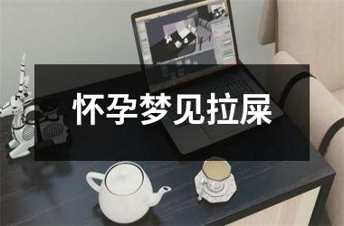 <h3>怀孕梦见拉屎