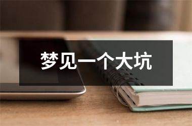 <h3>梦见一个大坑