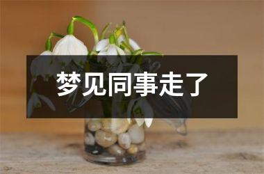 <h3>梦见同事走了