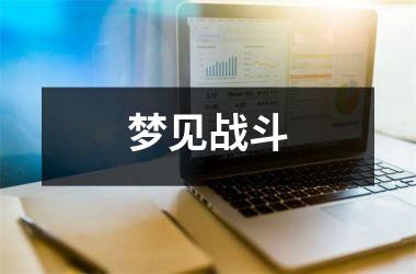<h3>梦见战斗