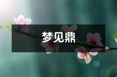 <h3>梦见鼎