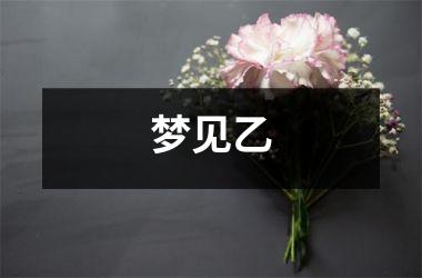 <h3>梦见乙
