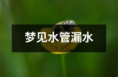 <h3>梦见水管漏水