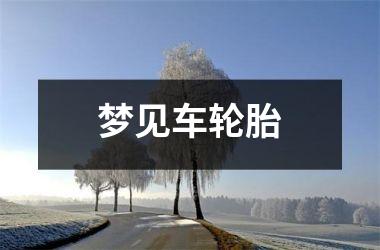 <h3>梦见车轮胎