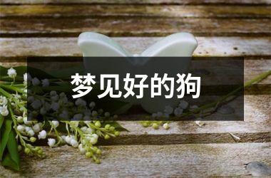 梦见好的狗