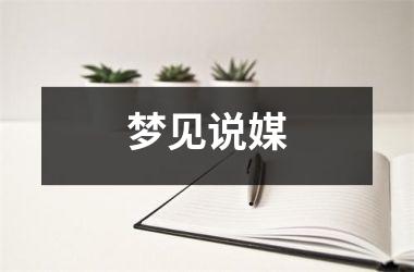 <h3>梦见说媒