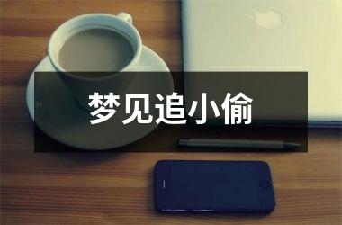 <h3>梦见追小偷