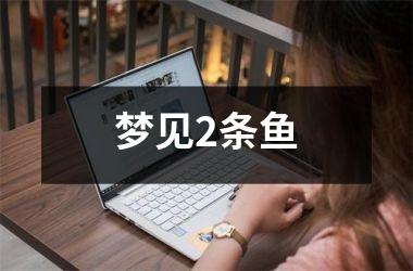 <h3>梦见2条鱼