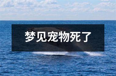 <h3>梦见宠物死了