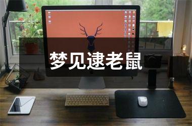 <h3>梦见逮老鼠