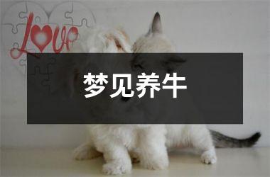 <h3>梦见养牛