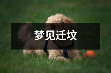 <h3>梦见迁坟