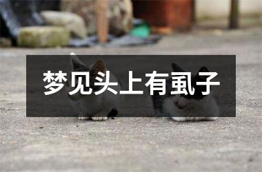 <h3>梦见头上有虱子