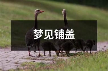 <h3>梦见铺盖