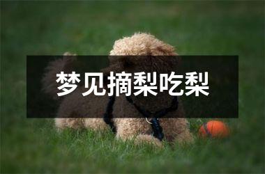 <h3>梦见摘梨吃梨