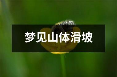 <h3>梦见山体滑坡