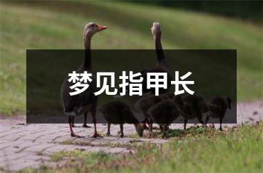 <h3>梦见指甲长