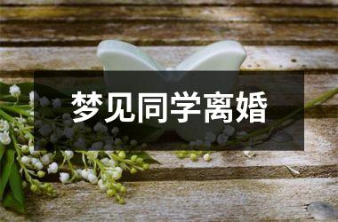 <h3>梦见同学离婚