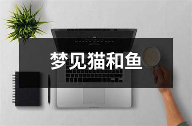 <h3>梦见猫和鱼